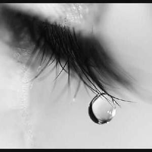 Meet your Posher, Edith